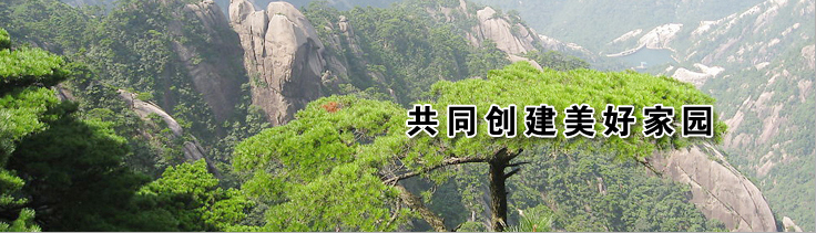 廣告圖